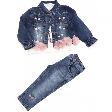 Комплекты детской одежды Baby Rose Комплект для девочки 3550