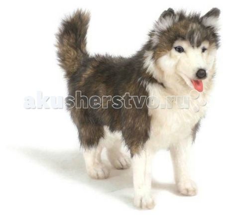 Мягкие игрушки Hansa Собака породы Сибирский Хаски 40 см