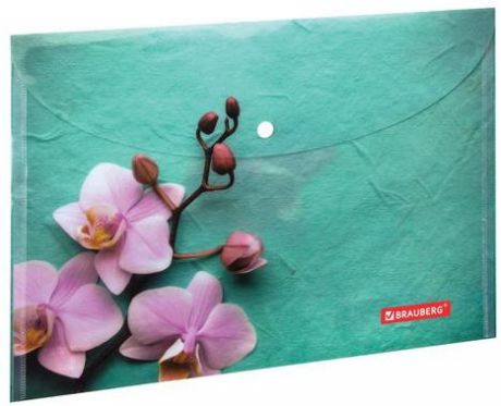 Папка-конверт с кнопкой BRAUBERG "Флора", А4, 160 мкм, до 100 листов, цветная печать, 228031