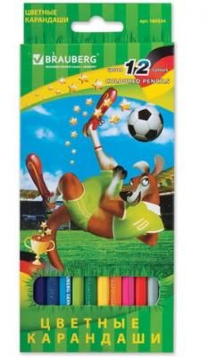 Набор цветных карандашей BRAUBERG "Football match" 12 шт 176 мм