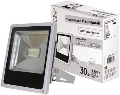 Прожектор светодиодный ТДМ SQ0336-0207 СДО30-2-Н 30Вт 6500К серый