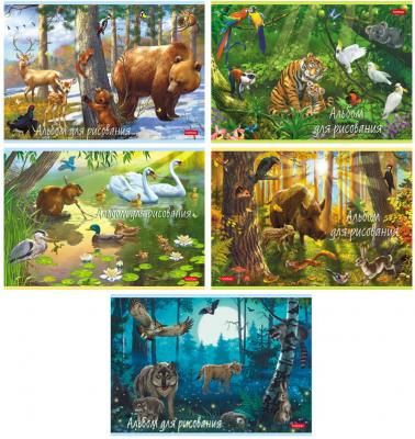 Альбом для рисования, А4, 20 листов, скоба, обложка картон, HATBER, 205х290 мм, "В сказочном лесу" (5 видов), 20А4В