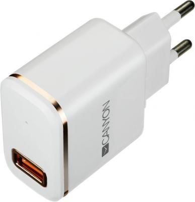 Зарядное устроиство от сети питания CANYON Universal 1xUSB AC charger (in wall) with over-voltage protection, plus lightning USB connector, Input 100V