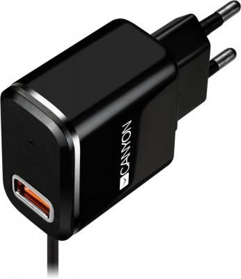 Зарядное устройство Canyon Universal USB 2.1A черный