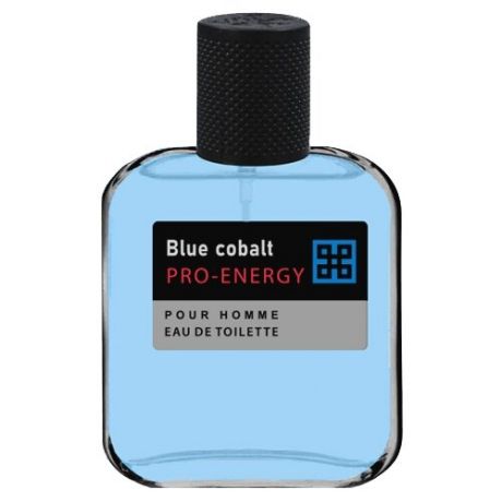 Туалетная вода мужская Pro-Energy Blue Cobalt, 100 мл
