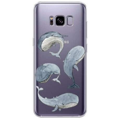 Силиконовый чехол "Киты" на Samsung Galaxy S8 + / Самсунг Галакси С8 Плюс