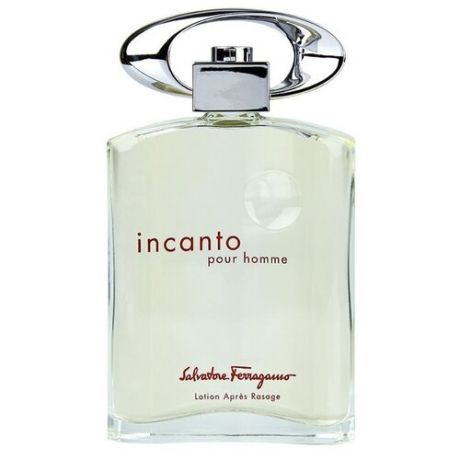 Salvatore Ferragamo Мужская парфюмерия Salvatore Ferragamo Incanto Pour Homme (Сальваторе Ферагамо Инканто Пур Хом) 50 мл