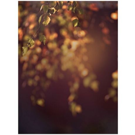 Виниловый фотофон портретный 150*200 см "Осень"