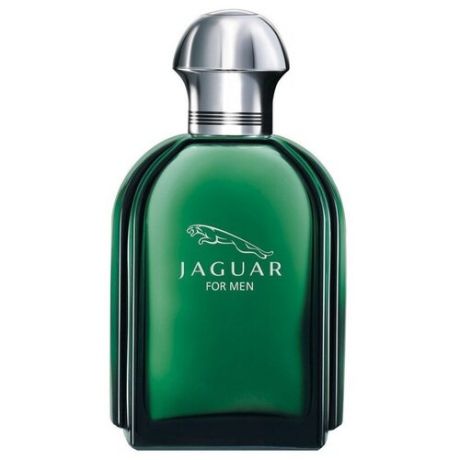 Jaguar Мужская парфюмерия Jaguar for Men (Green) (Ягуар фо Мен (Грин)) 100 мл