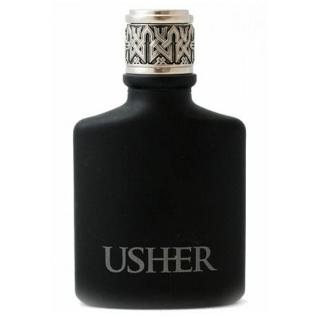 Usher Мужская парфюмерия Usher He (Ашер Ашэр Хи) 100 мл