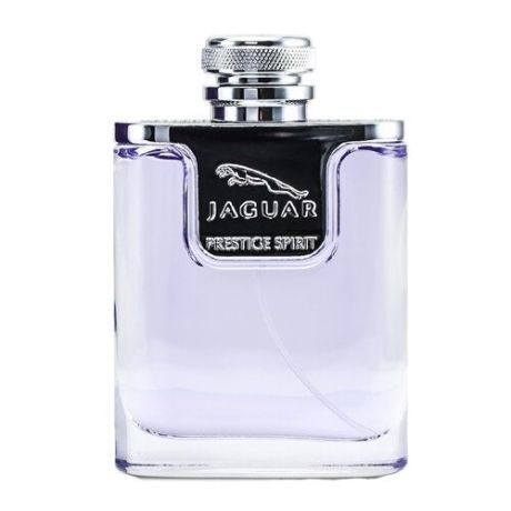 Jaguar Мужская парфюмерия Jaguar Prestige Spirit (Ягуар Престиж Спирит) 100 мл