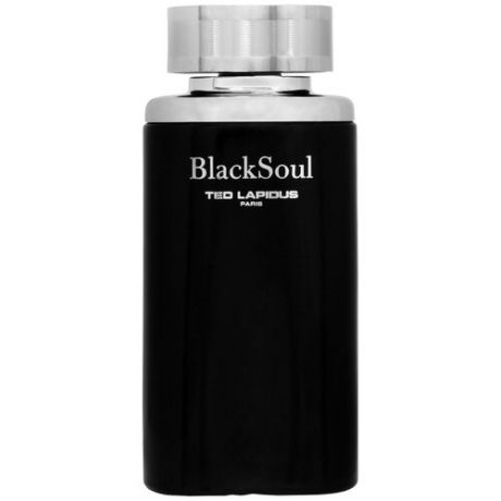 Туалетная вода Ted Lapidus Black Soul, 100 мл