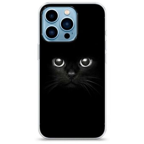 Силиконовый чехол "Влюбленные котики 7" на Apple iPhone 13 Pro / Айфон 13 Про
