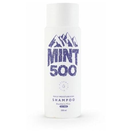 MINTSOO шампунь Daily Moisturising Blackberry Mint, 250 мл