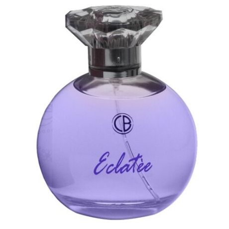 Парфюмерная вода Carlo Bossi Parfumes Eclatee Violet, 100 мл