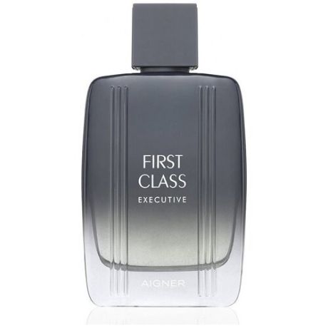 Туалетная вода Aigner First Class Executive 100 мл
