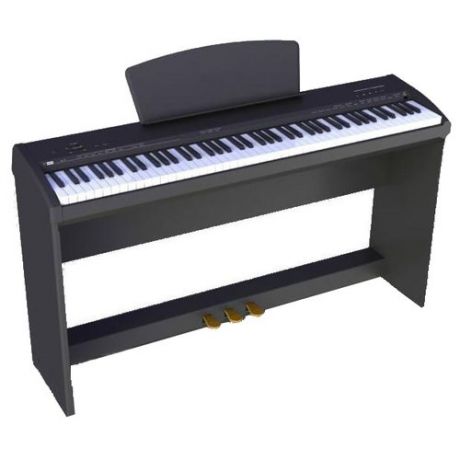 Цифровое пианино Sai Piano P-9 черный