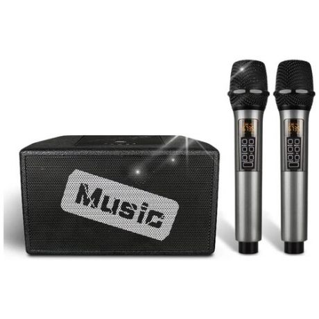 Портативная караоке колонка с микрофонами SkyDisco Music Box Bluetooth