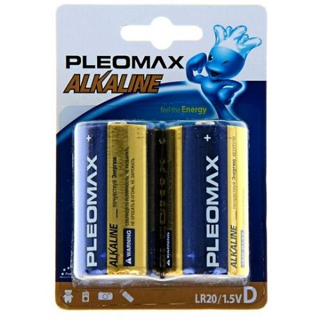 Samsung PLEOMAX LR20-2BL 2 шт. в уп-ке