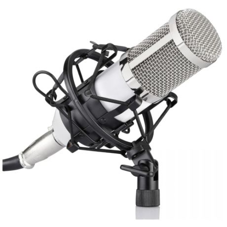Микрофон FZONE BM-800, черный