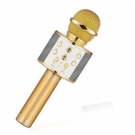 Беспроводной Bluetooth микрофон WS-858 с динамиком, золотой