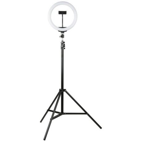 Кольцевая селфи лампа 26 см со штативом 2 м, кольцевая лампа на телефон, кольцевая лампа для телефона