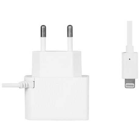 Зарядное устройство Ainy EA-H013 USB 2A White for iPhone