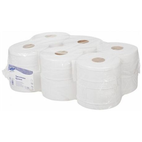 Туалетная бумага Luscan Professional белая двухслойная 170 м (смешанная целлюлоза) 12 рул.