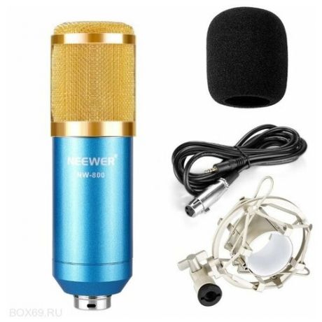 Конденсаторный студийный микрофон NW-800, золото с голубым