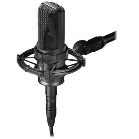 Микрофон Audio-Technica AT4050SM, черный