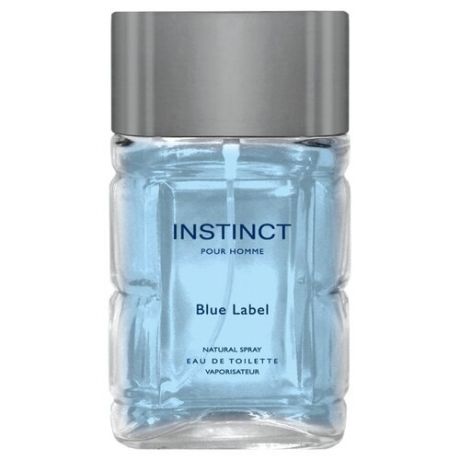 Туалетная вода Delta Parfum Instinct Blue Label, 100 мл