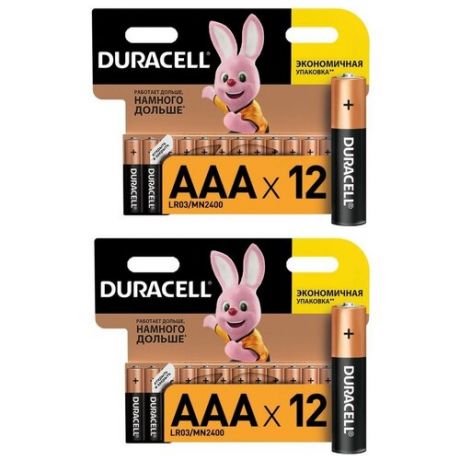 Батарейка Duracell Basic AAA, 24 шт.