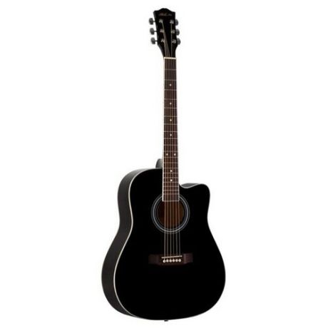 Акустическая гитара Phil Pro AS-4104/BK