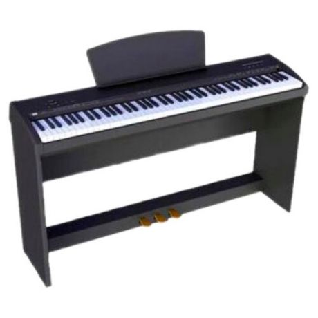 Цифровое пианино Sai Piano P-9BT черный