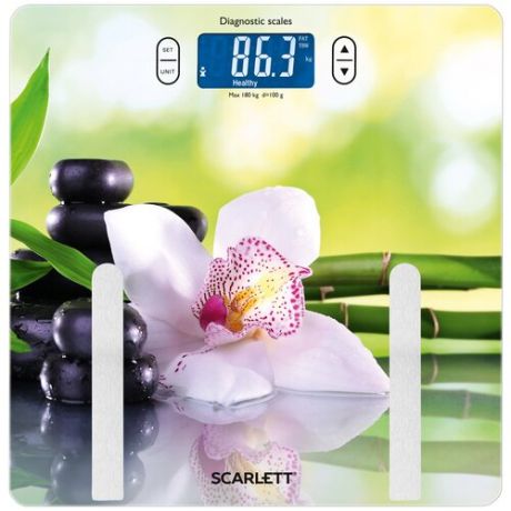 Весы электронные Scarlett SC-BS33ED10