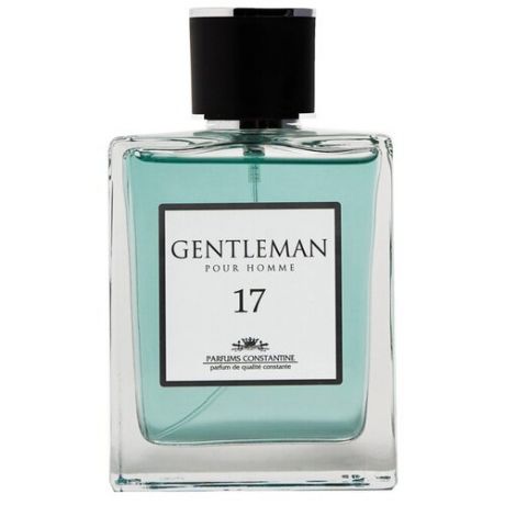 Туалетная вода Parfums Constantine Gentleman №17, 100 мл