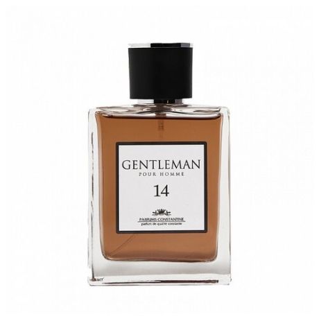 Туалетная вода Parfums Constantine Gentleman 14, 100 мл