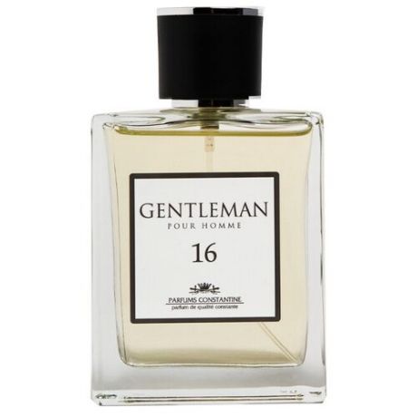 Туалетная вода Parfums Constantine Gentleman №16, 100 мл