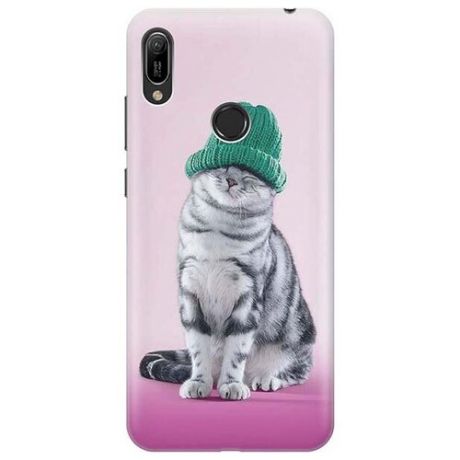 Ультратонкий силиконовый чехол-накладка для Huawei Y6 (2019) / Honor 8A с принтом "Кот в зеленой шапке"