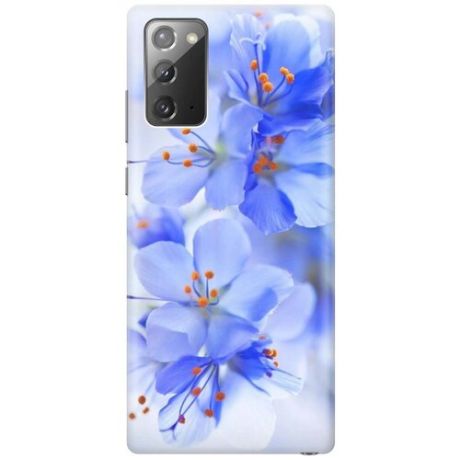 Ультратонкий силиконовый чехол-накладка для Samsung Galaxy Note 20 с принтом "Лазурные орхидеи"