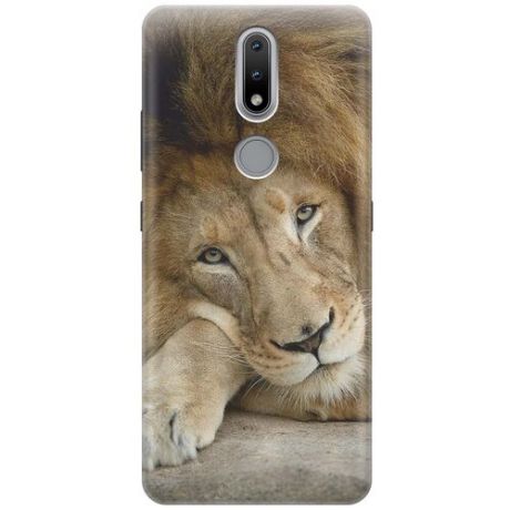Ультратонкий силиконовый чехол-накладка для Nokia 2.4 с принтом "Спокойный лев"