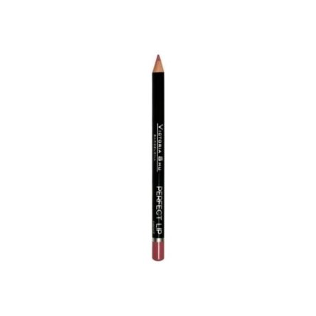 Victoria Shu Карандаш для губ Perfect Lip 151