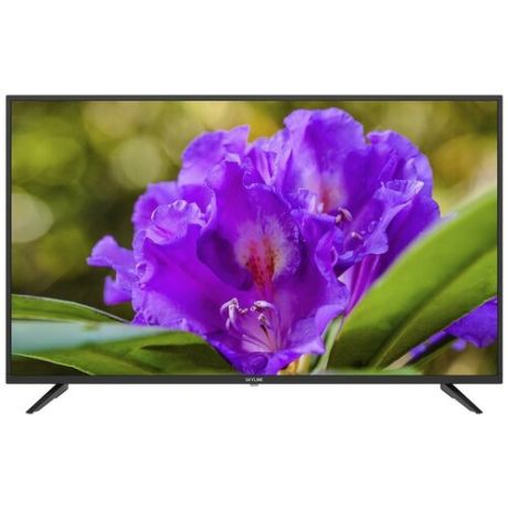 43" Телевизор SkyLine 43LST5970 LED (2019), черный