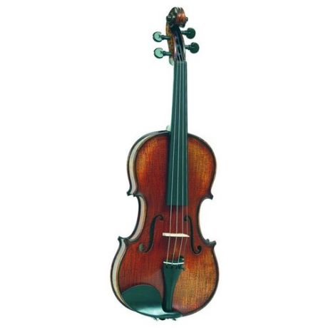Скрипка Gliga Gama P-V014-S