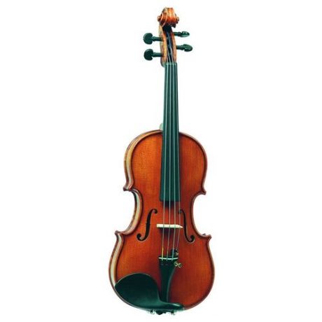 Скрипка Gliga Gama P-V018