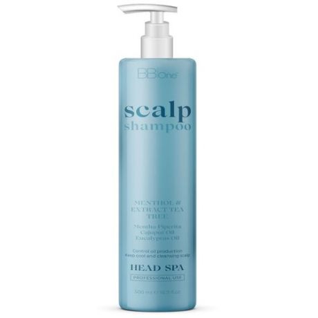 BB one Освежающий шампунь для кожи головы Scalp Shampoo 500мл