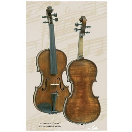 Скрипка Gliga AW-V012