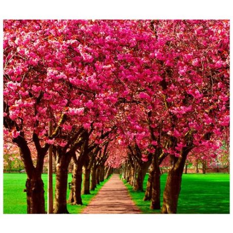 Интерьерная картина-обогреватель WarmART "Аллея цветущей вишни" 60х60 см