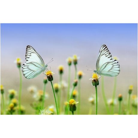 Интерьерная картина-обогреватель WarmART "Две бабочки" 60х100 см