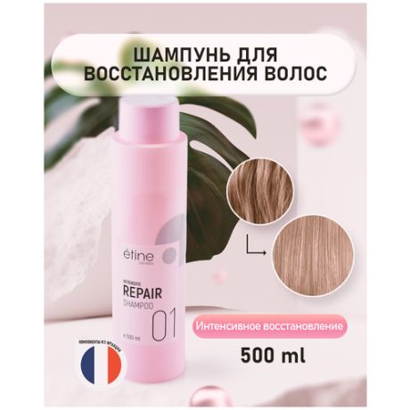 Etine Intensive Repair Shampoo - Шампунь для волос интенсивное восстановление 500 мл